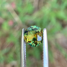 1.9ct Wattle Sapphire, Round