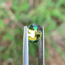 1.9ct Wattle Sapphire, Round