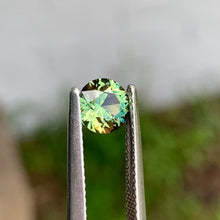 1.08ct Parti Sapphire, Round