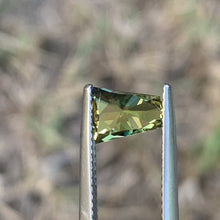 1.81ct Parti Bi Color Wattle Australian Sapphire, Kite Shape
