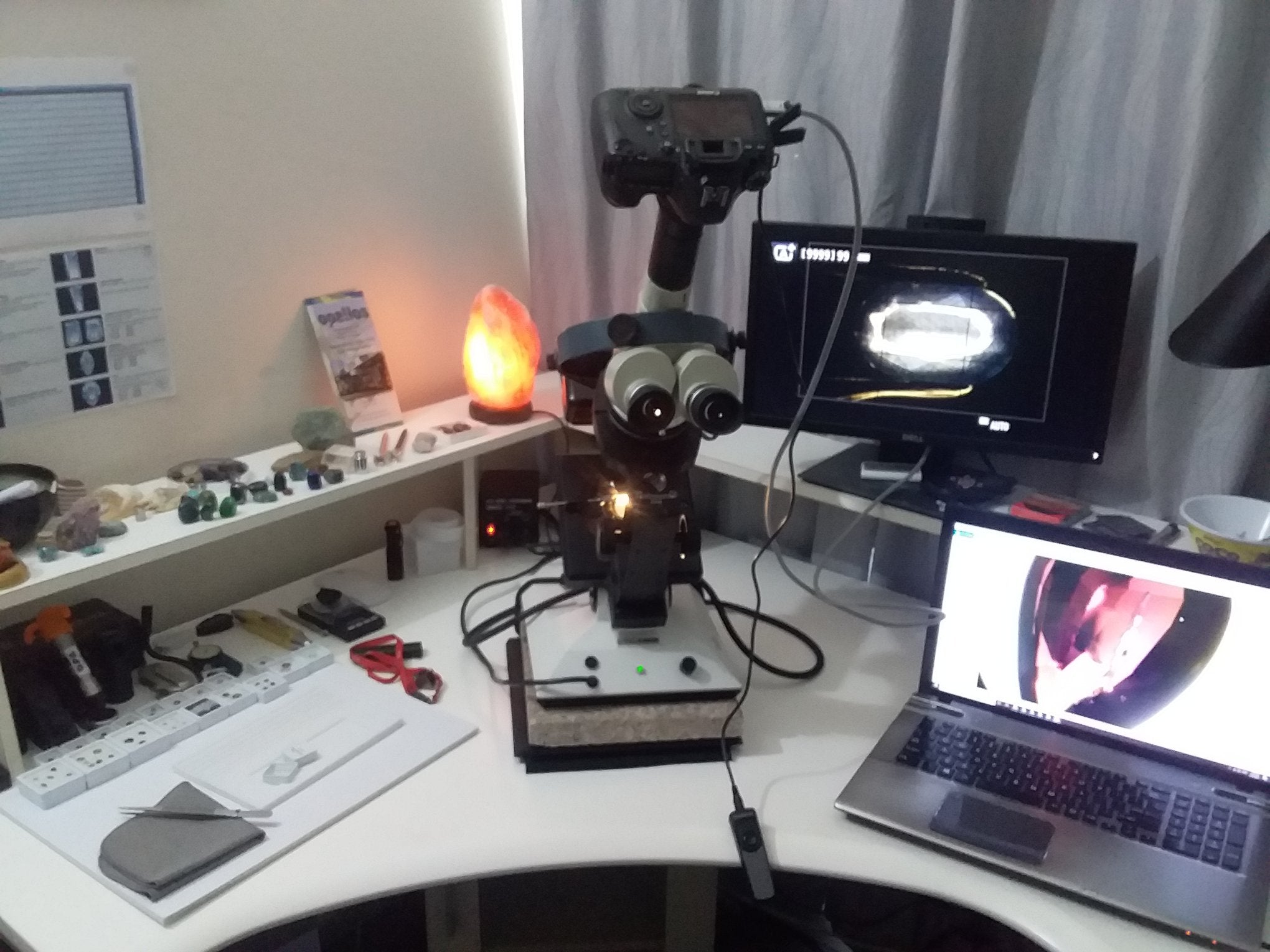 The Laboratory
