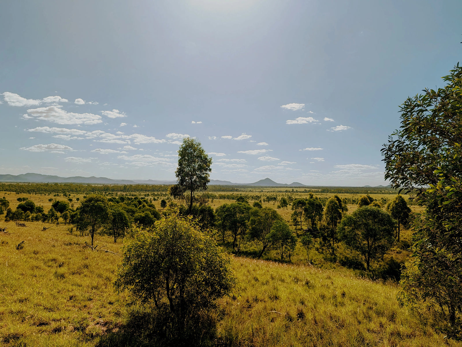 Australian Outback Mining Landscape
