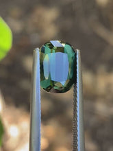 3.61ct Green Australian Sapphire, Long Cushion