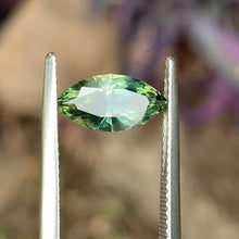 1.62ct Parti Australian Sapphire, Marquise