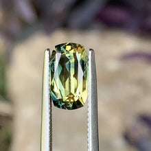 3.8ct Wattle Parti Sapphire. Cushion