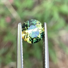 1.9ct Wattle Sapphire, Round