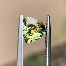 1.65ct Wattle Sapphire, Trillion