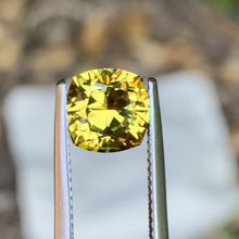 2.48ct Golden Yellow Sapphire, Cushion
