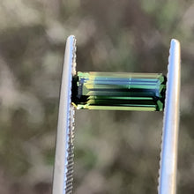 1.54ct Wattle Parti Sapphire, Long Emerald Shape