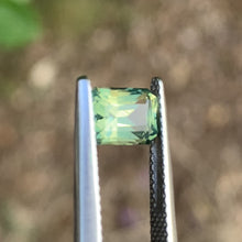 1.67ct Parti Sapphire, Emerald Shape