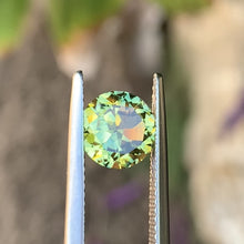 2.1ct Wattle Parti Sapphire, Round