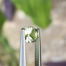 1.0ct Light Yellow Australian Sapphire, Cushion