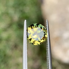 2.41ct Wattle Parti Australian Sapphire, Round