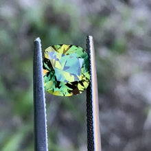 3.66ct Wattle Australian Sapphire, Cushion
