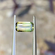 1.37ct Wattle Parti Australia Sapphire, Emerald Shape