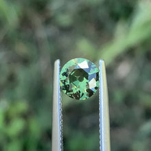 1.2ct Green Sapphire, Round