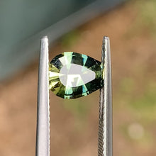 1.73ct Parti Sapphire, Egg Shape