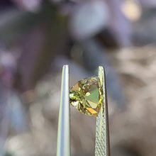 1.07ct Yellow Australian Sapphire, Trillion