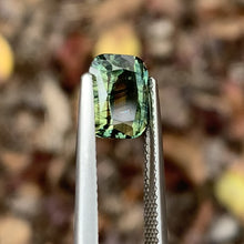 2.58ct Parti Sapphire, Cushion