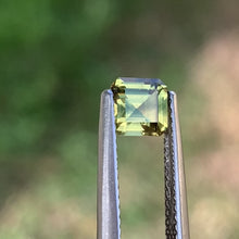 0.89ct Wattle Parti Sapphire, Octagon