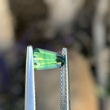 1.45ct Wattle Sapphire, Coffin Shape