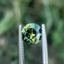 1.3ct Parti Sapphire, Round