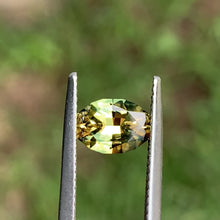 1.45ct Parti Sapphire, Oval