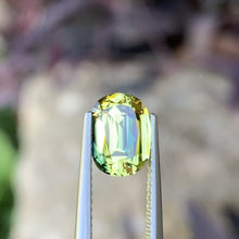 2.68ct Parti Australian Sapphire, Cushion