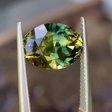 6.5ct Wattle Parti Australian Sapphire, Oval