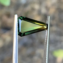 3.9ct Parti Sapphire, Triangle