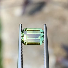 1.4ct Yellow Parti Australian Sapphire, Emerald Shape