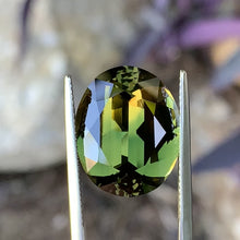18.76ct Wattle Parti Australian Sapphire, Oval