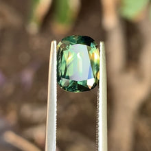 4.15ct Parti Sapphire, Cushion