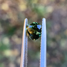 1.3ct Wattle Sapphire, Trillion