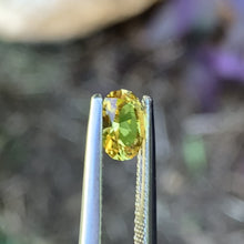 0.78ct Yellow Australian Sapphire, Oval