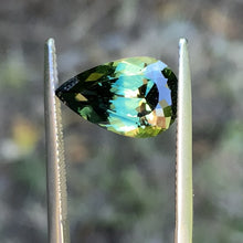 5.39ct Parti Sapphire, Pear