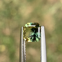 1.39ct Parti Sapphire, Octagon