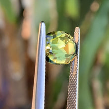 4.65ct Parti Sapphire, Cushion