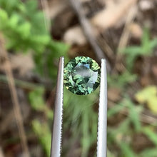 1.71ct Parti Sapphire, Round