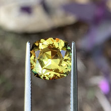 5.02ct Yellow Australian Sapphire, Cushion
