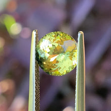 3.65ct Parti Sapphire, Round