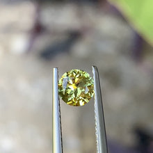 0.7ct Yellow Australian Sapphire, Round