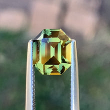 3.54ct Wattle Parti Sapphire, Elongated Octagon