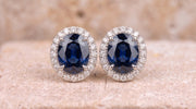 The Sovereign Halo Stud Earrings